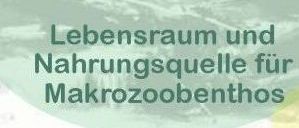 [Lebensraum und Nahrungsquelle Makrozoobenthos]