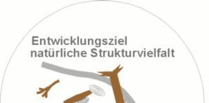 [Entwicklungsziel naturnahe Strukturvielfalt]