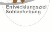 [Entwicklungsziel Sohlanhebung]