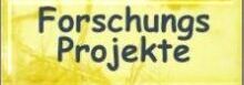 [Forschungsprojekte]