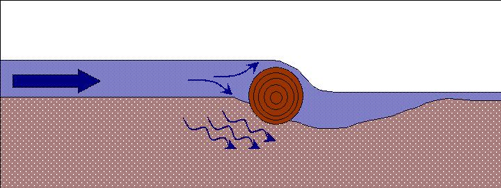 Erh&ouml;hung des Selbstreinigungsverm&ouml;gens durch Totholz