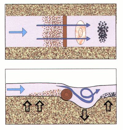 zylindrische Totholz Schwelle quer