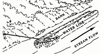 Unterstand treibender Stamm